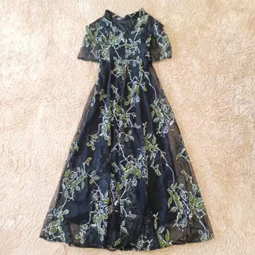 아메리 2WAY WILD ROSE CANVAS ART DRESS 롱