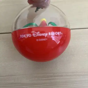도쿄 디즈니 리조트 Festive Winter 미키