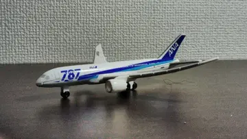 ANA 보잉 787