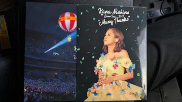 니시노 카나 DVD