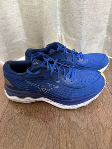 Mizuno 웨이브 스카이라이즈 러닝화 베이퍼플라이
