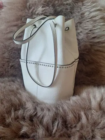 J&MDAVIDSON 미니 데이지 화이트