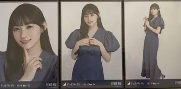 카와사키 벚꽃 머메이드 원피스 브로마이드 컴프