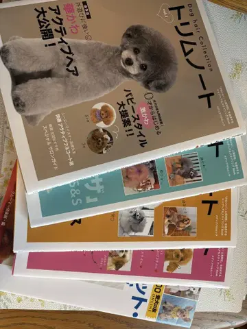 트림 노트 컬렉션 5권 세트