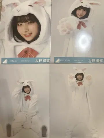 히나타자카46 오오노 마나미 브로마이드 동물 인형옷 컴프