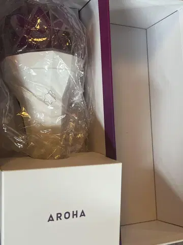 ASTRO OFFICIAL 응원봉 2