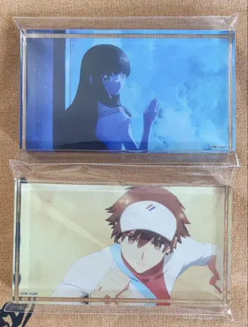 FGO fes 아크릴 블록 키시나미 하쿠노