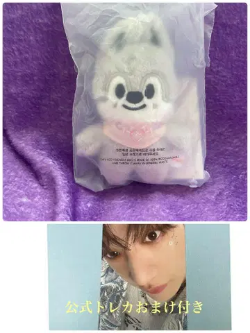 straykids SKZOO 10cm 봉제 인형 울프찬 방찬