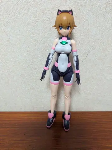 Figurerize Standard 아바타 후미나