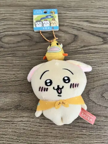 치이카와 (먼작귀)
