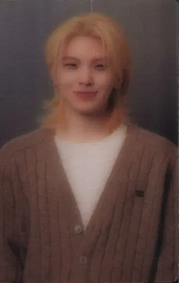 SEVENTEEN WOOZI 2024 CARAT LAND