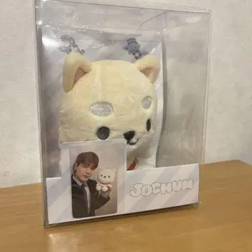JOCHUM 제오참 JO1 마메하라 잇세이 마메치이 봉제 인형