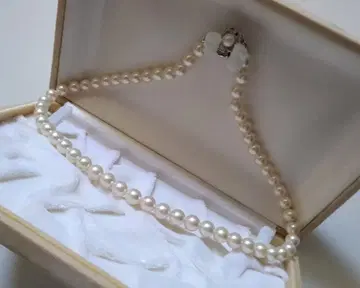 진주 목걸이 케이스 포함