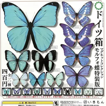 독일 상자 마그넷 컬렉션 모르포나비 특장판 전 10종 컴플리트