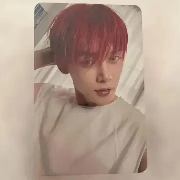 영준 트레이딩 카드 SANCTUARY