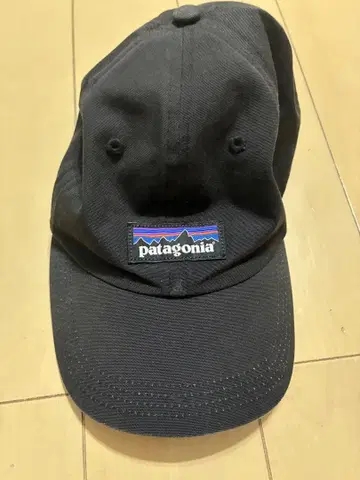 Patagonia 블랙 야구 모자