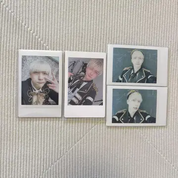 팬더드래곤 파라곤 요타 폴라로이드 하피카