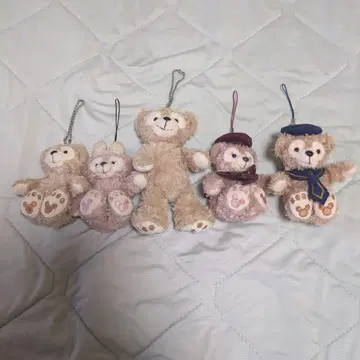 베이지 테디베어 5체 세트