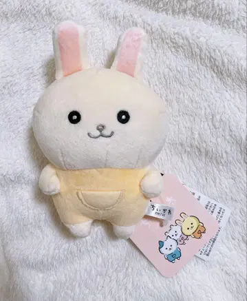 치이카와  봉제 인형 뭔가 닮은 토끼 바니아