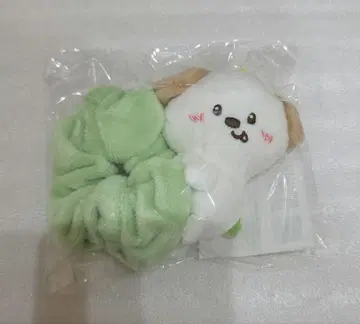 RIIZE 앤톤 슈슈