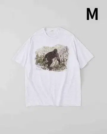 NICENESS 25AW G.BERNARD BIGFOOT M