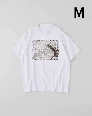 NICENESS 25AW G.BERNARD TSUCHINOKO M