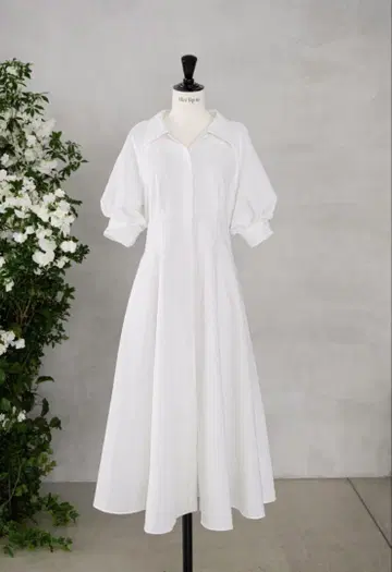 Herlipto Vienna Volume Sleeve ShirtDress