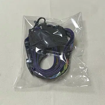 THE ALFEE 2025 여름 이벤트 굿즈 WAKU WAKU BOX