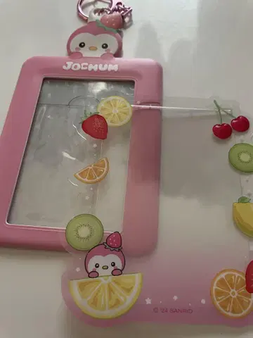 JOCHUM 포포 트레이딩 카드 케이스