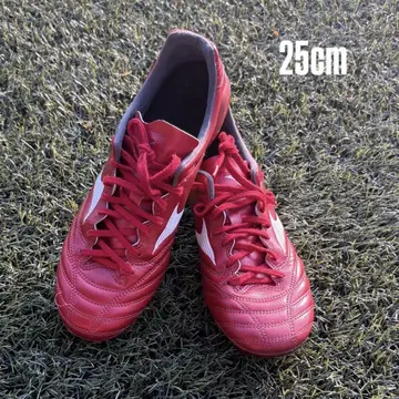 미즈노 모나르시다 네오2 프로 25cm