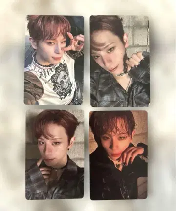 XLOV 하루 4장 컴프 봉입 트레이딩 카드