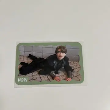 원인은 자신에게 있다. 쑥쑥 트레이딩 카드 모쿠다이 카즈토
