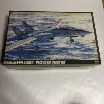 Hasegawa 1/48 Grumman F-14A TOMCAT