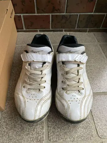 Mizuno 트레이닝 슈즈 20.0 화이트