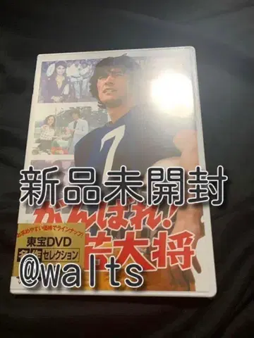 힘내라 젊은 대장 DVD