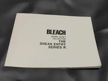 이치마루 긴 히즈카야 토시로 BLEACH 소책자 설정 자료 혜택