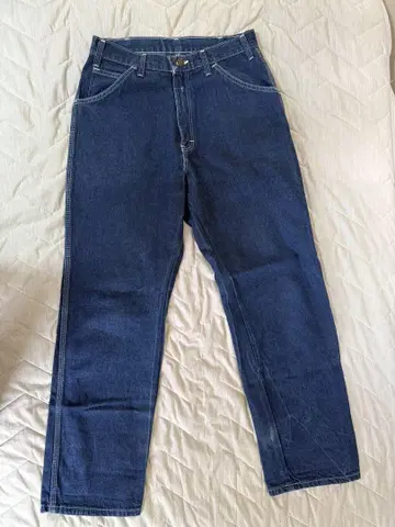Dickies 페인터 팬츠