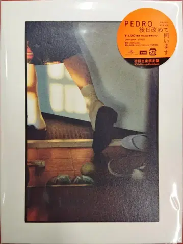 PEDRO 뒷날 다시 찾아뵙겠습니다 Blu-ray 포함 초회 생산 한정판