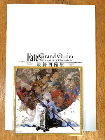FGO 최종 재림전