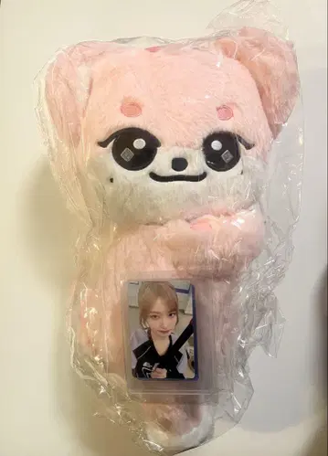 IVE MINIVE 팝업 허그백 이서 이랑이 트레이딩 카드 포함