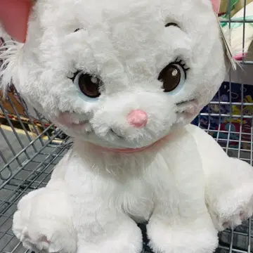 [미사용 새상품] 코스트코 멋쟁이 캣 봉제 인형 담요