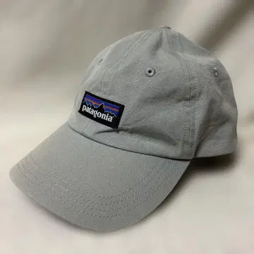 Patagonia 그레이 캡