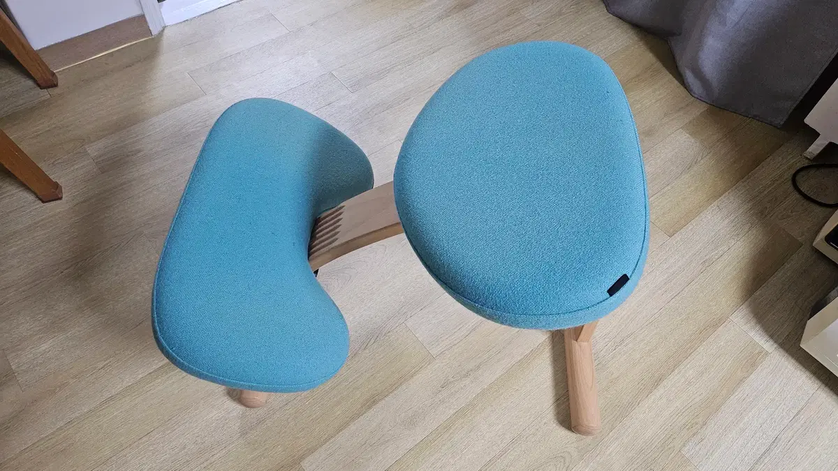 화분용 정원조경용 주목나무 | 브랜드 중고거래 플랫폼, 번개장터