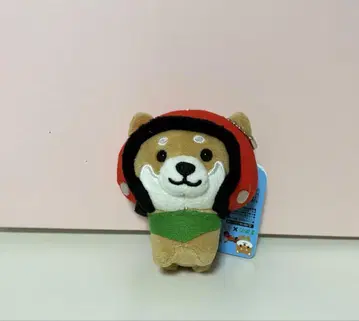 여행하는 마메시바 라이더 버전 마메타 바이크 새상품 묶음 구매 가능