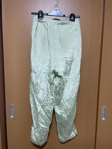 옅은 그린 컬러 광택 캐주얼 팬츠 munich