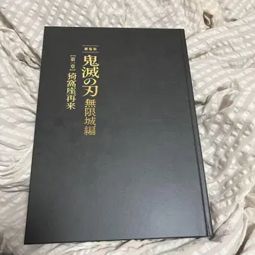 극장판 귀멸의 칼날 무한성편 아카자 재래 팜플렛 초회 한정판 호화판