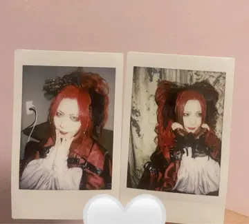 Royz 코우다 체키 2장
