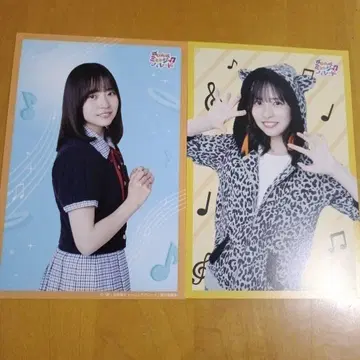 히나타자카46 쇼겐지 요코 히나파레 엽서