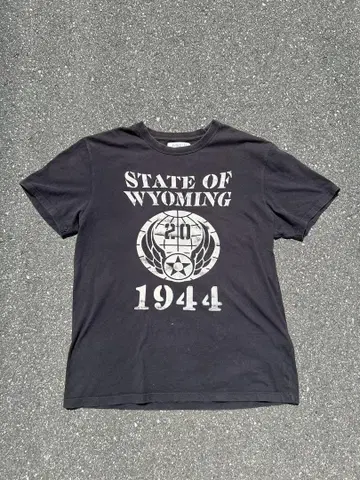 avirex vintage T-shirt
