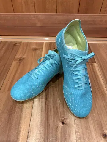 PUMA 축구화 25cm FG